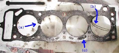 What Is A Head Gasket Bluedevil Products