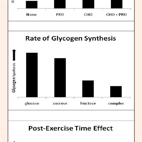 Hypothetical Models Of Factors Affecting Postexercise Glycogen