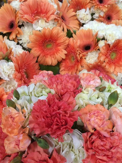Coral Carnations Gerbers Hydrangea Wedding Flowers Carnations