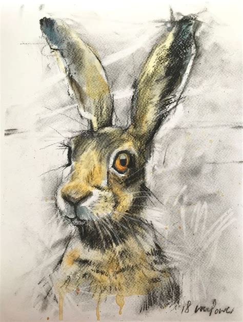 Hare 32 Charcoal Ink And Watercolour Hare Drawing 2018 Mixed Media