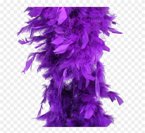 Feather Boa Transparent Feathers Boa Clipart 3661720 Pikpng