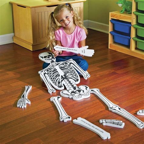 Skeleton Floor Puzzle A Mighty Girl