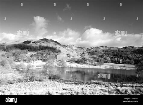 A View Of The Langdales From Loughrigg Tarn Lake District National