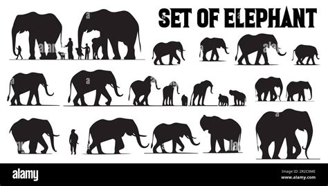 A Set Of Elephant Silhouette Vector Designs Stock Vector Image And Art