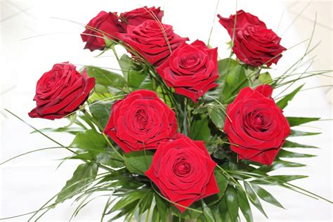 Kostenlose Foto Blühen Blume Blütenblatt Rot Rote Rose Rosen