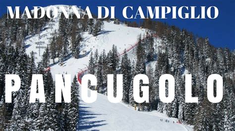 Quella che doveva essere una gita spensierata si è però. Piste da sci Madonna di Campiglio: pista nera Pancugolo ...