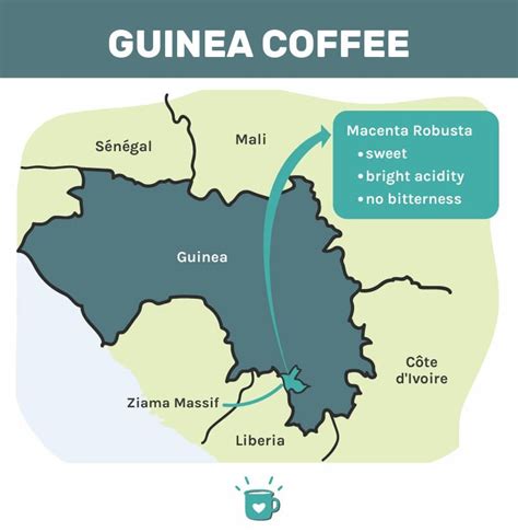 Guinea Coffee A Complete Guide To An Unusual Origin