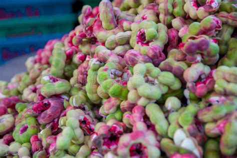 Manila Tamarind Manila Tamarind From Thailand Country Stock Photo