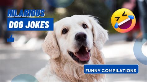Laugh Out Loud 5 Hilarious Dog Jokes Youtube