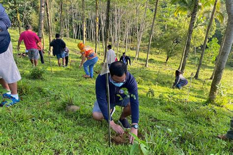 Dilg Denr Da Kick Off Tree Planting Project In Tudela The Monitor