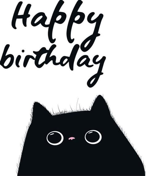 8400 Happy Birthday Cat Stock Photos Pictures And Royalty Free Images