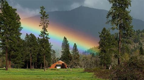 Rainbow Forest Photograph By Julia Hassett Fine Art America