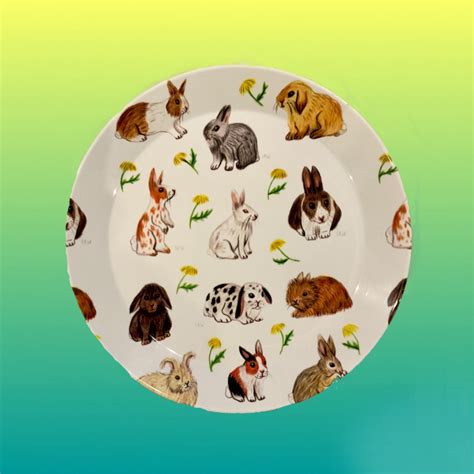 New Rabbit Plates Bunny Dinner Plates Kitchenware Etsy