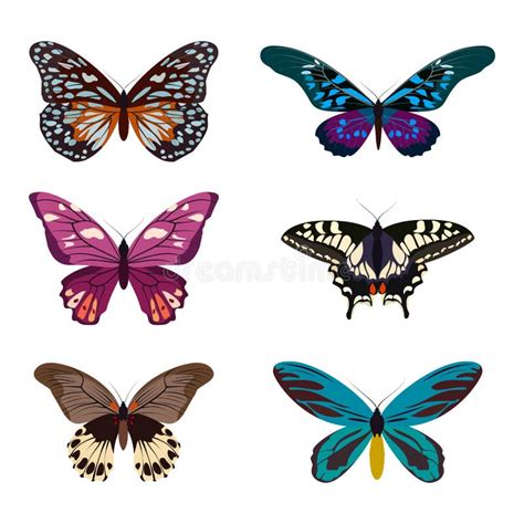 Big Collection Of Colorful Butterflies Butterflies Isolated On White