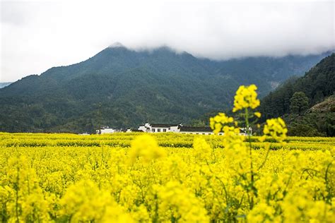 Wuyuan 1080p 2k 4k 5k Hd Wallpapers Free Download Wallpaper Flare