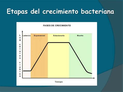 Ausencia De Crescimento Bacteriano