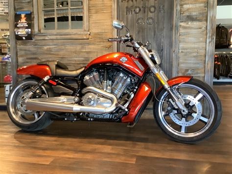 V Rod Muscle American Harley Davidson
