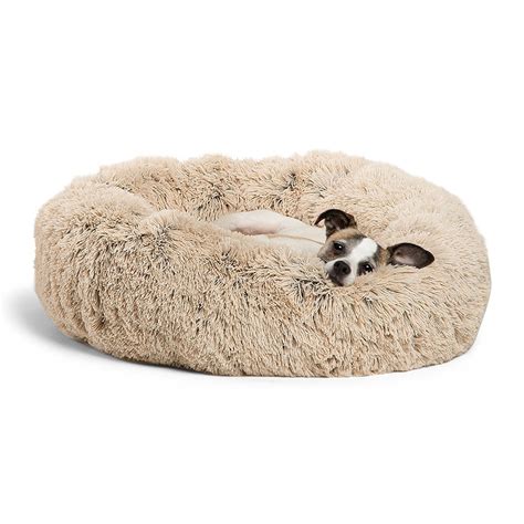 The coolaroo dog bed ensures your pet stays cool and comfy in any weather. 5 Best Dog Beds for Shih Tzus | The Dog People by Rover.com