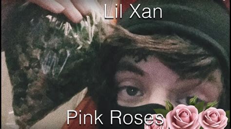Lil Xan Pink Roses Sub Español Youtube Music