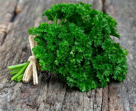 Parsley - A Surprising Natural Remedy - Earth Clinic