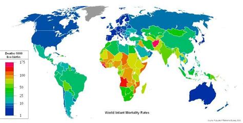 Unicef Report On Infant Mortality Rate Green Clean Guide