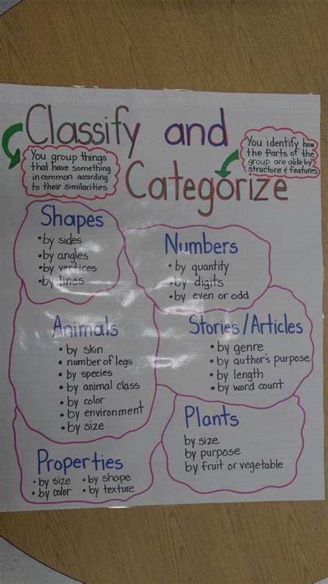 Classify And Categorize Anchor Chart Ed To Help My First Graders Understand The Skill