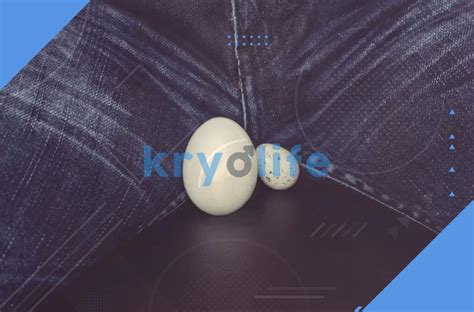 Testicle Size Why It Matters And How To Increase It Kryolife Health