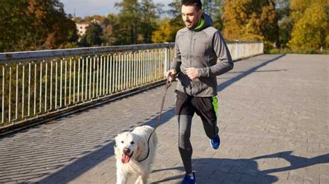 Tips Para Correr Con Tu Perro