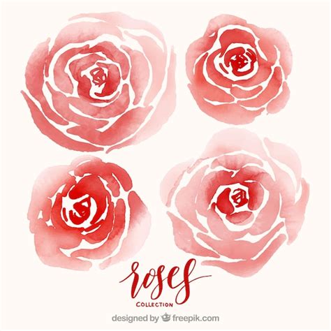 Pack De Rosas Rojas De Acuarela Vector Gratis