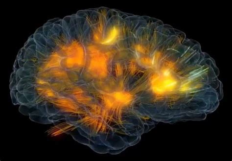 Real Time 3d Brain Visualization Wordlesstech Neuroscience Brain
