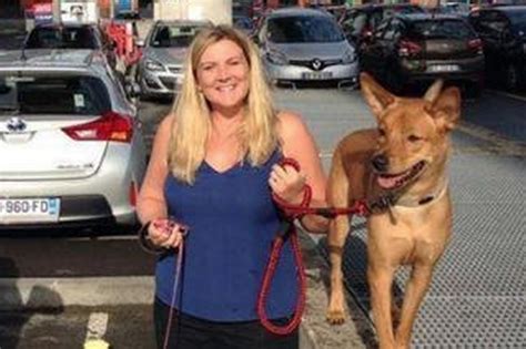 Scots Dog Lover Saves Singapore Strays Big Hearted Maggie Rehomes