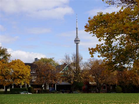 Trinity bellwoods park outdoor ice rink at trinity bellwoods park. CN Tower from Trinity Bellwoods Park, Toronto | these are ...