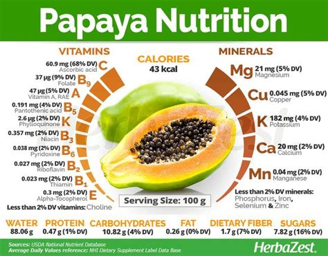 Herbazest Entdecken Sie Die Gesundheitlichen Vorteile Von Papaya
