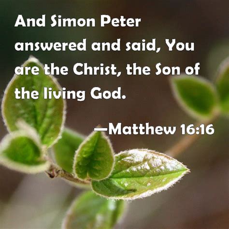 Matthew 1616 And Simon Peter Answered And Said You Are The Christ
