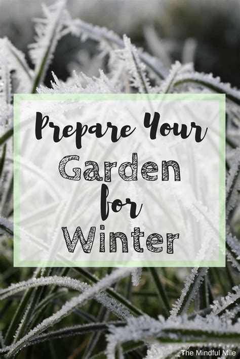 Prepare Your Garden For Winter Prepare Your Garden For Winter The