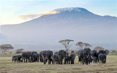 5 Things To Do At Amboseli National Park Kenya Geographic