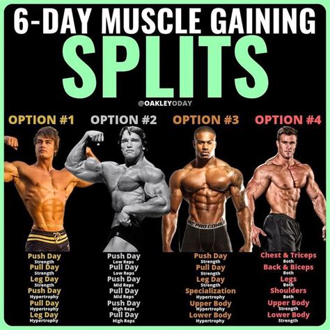 8 Powerful Muscle Building Gym Training Splits Workout Splits Weight Training Workouts
