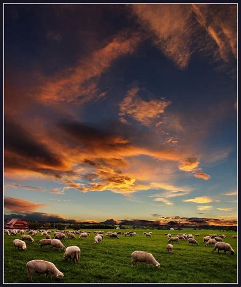 Pastoral Sunset Photo By Carsten Ranke Scenic Photography Scenic
