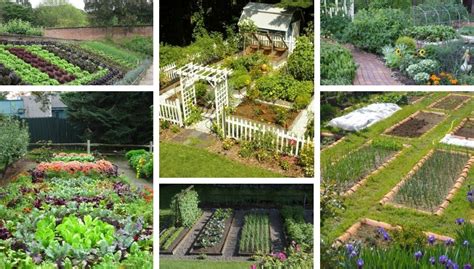 It will be an economical way to satisfy your love for growing vegetables, herbs, and flowers. 39 ideas for a great DIY vegetable garden - what do you ...