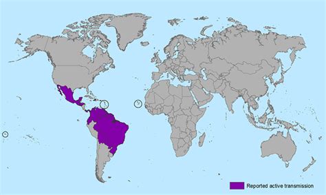 Where Did Zika Virus Come From And Why Is It A Problem In Brazil