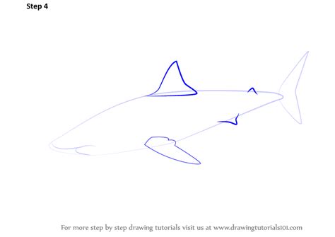 Just draw some of the front teeth, and later we'll create an illusion of greater detail. Learn How to Draw a Great White Shark (Fishes) Step by ...