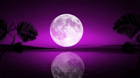 Mysterious Wallpaper Purple Moon Photos Footage And Updates