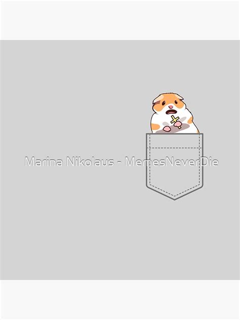 Scared Hamster With A Cross Memes Funny Screaming Hampster Meme Pin