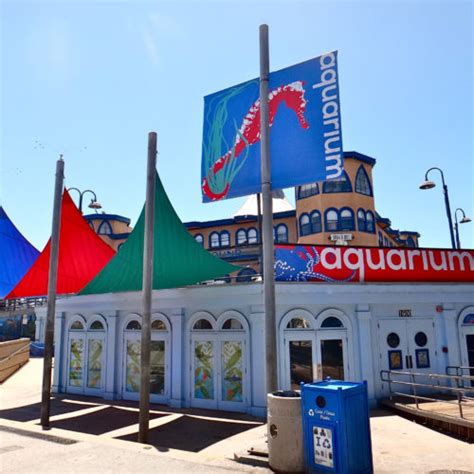 Santa Monica Pier Heal The Bay Aquarium Pacific Park Amusement