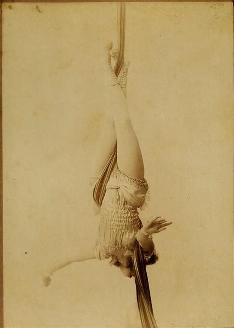 Thehystericalsociety Vintage Circus Aerial Silks Circus Aesthetic
