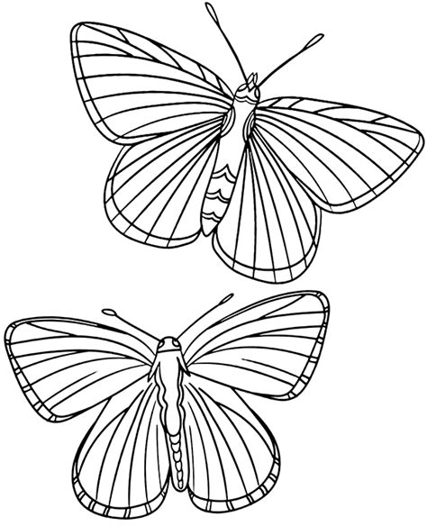 Two butterflies coloring page, sheet