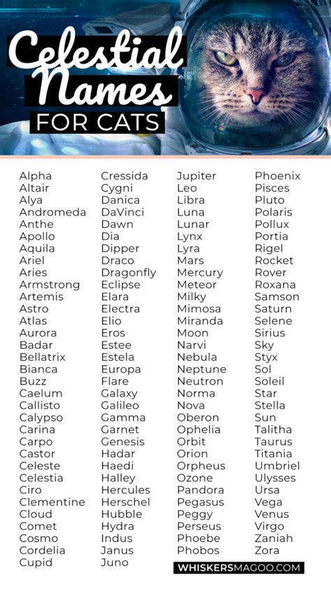 131 Celestial Space Themed Names For Cats With Meanings Whiskers Magoo