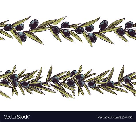 Olive Border Greece Branches Seamless Frame Olive Vector Image