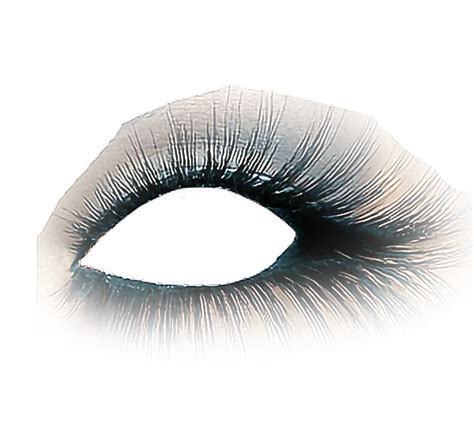 View our latest collection of free makeup png images with transparant background, which you can use in your poster, flyer design, or presentation. Eyelashes clipart eye makeup, Eyelashes eye makeup Transparent FREE for download on ...