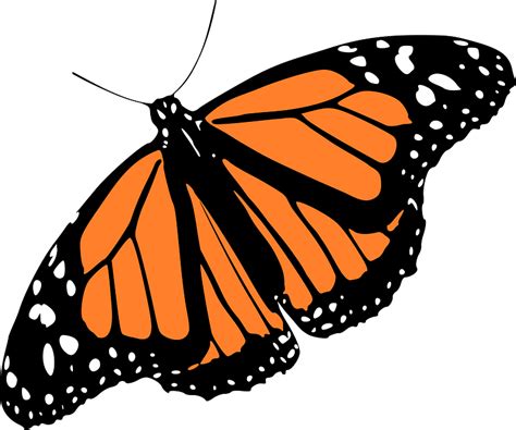 Monarch Butterfly Clipart Free Download Transparent Png Creazilla